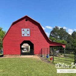 White Horse Mule and Donkey Farm Red Barn