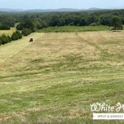 Mowing The Back Pasture