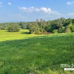 White Horse Farms back pasture with pond