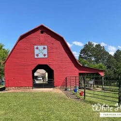 White Horse Farms Arkansas red barn