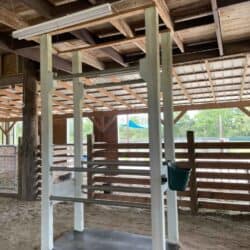 Inside our barn