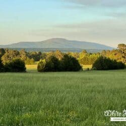 Ouachita Mountains Booneville, Arkansas
