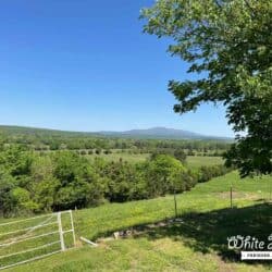Pastures at White Horse Farms Arkansas