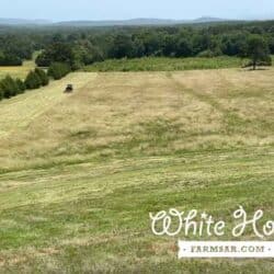 Mowing the back pasture at White Horse Farms Arkansas
